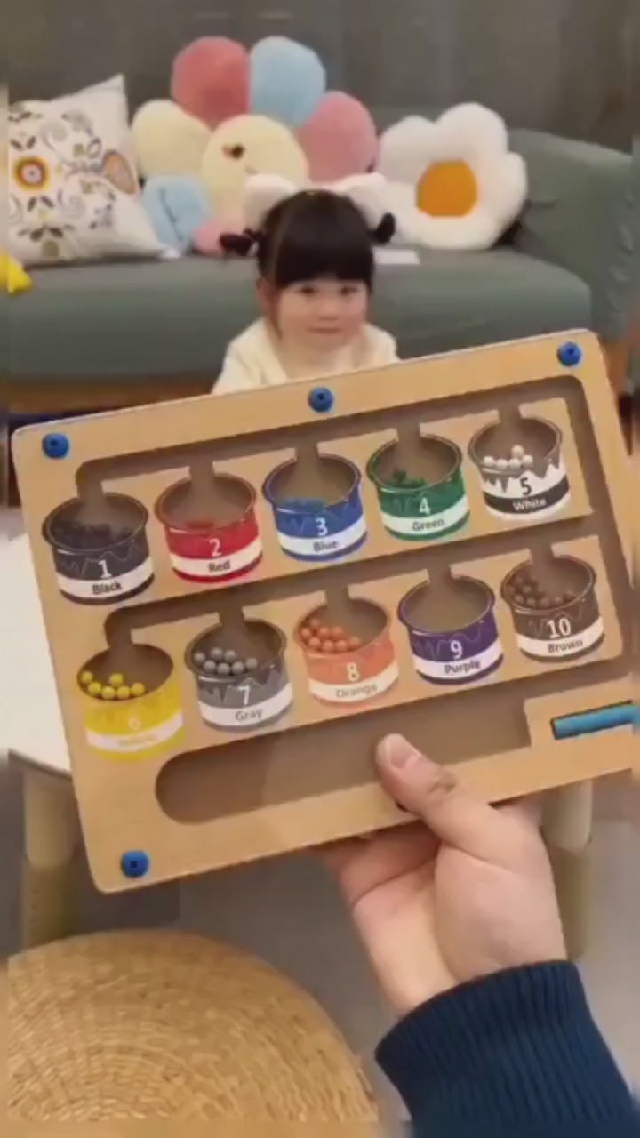 Magnetic Maze